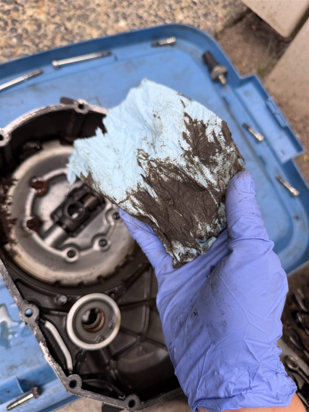 Dark clutch debris wiped from Ducati Scrambler clutch area